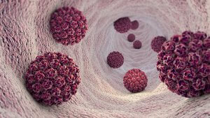 Hình ảnh virus HPV